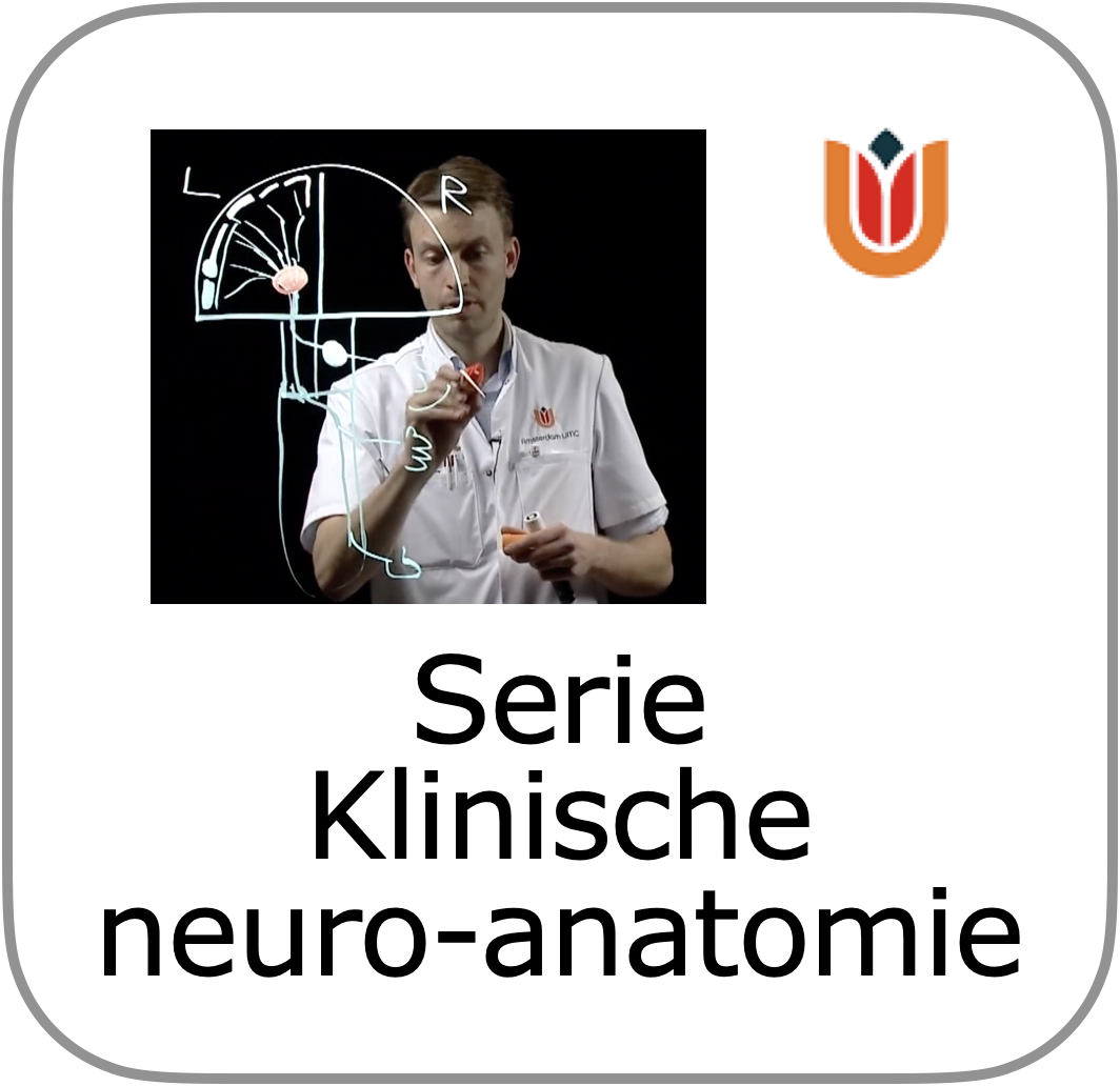 to klinische neuro-anatomie serie