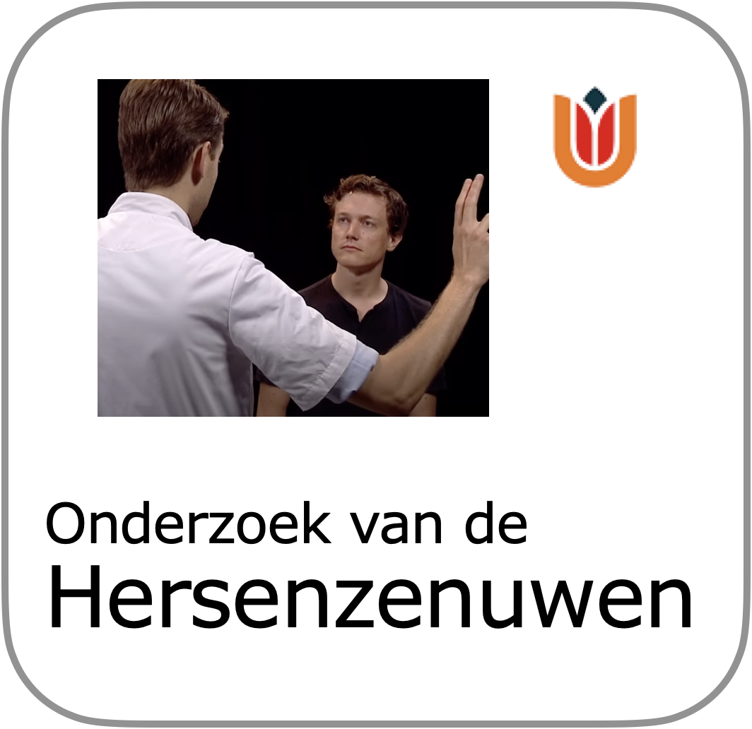 to hersenzenuw onderzoek